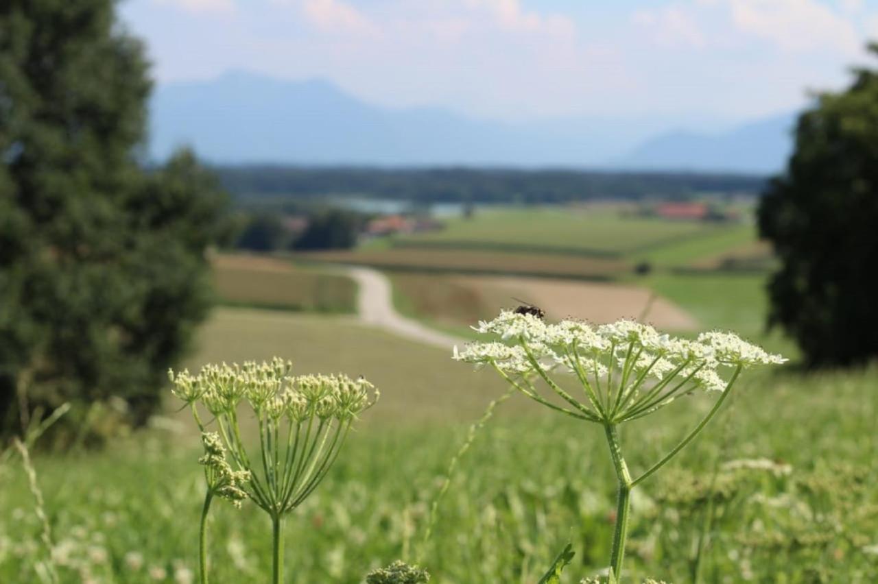 Moyer Farm stay Hoslwang